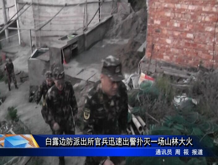 白露邊防派出所官兵迅速出警撲滅一場山林大火