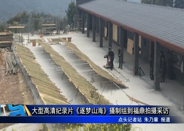 大型高清紀錄片《逐夢山海》攝制組到福鼎拍攝采訪