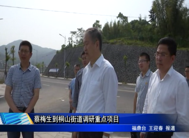 蔡梅生到桐山街道調(diào)研重點(diǎn)項目