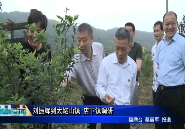 劉振輝到太姥山鎮(zhèn) 店下鎮(zhèn)調研
