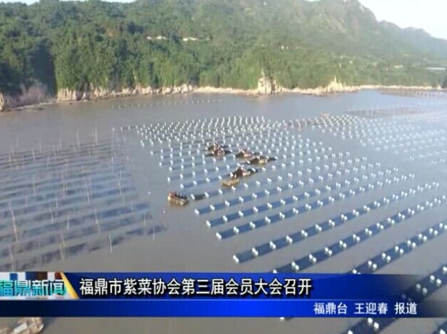 福鼎市紫菜協會第三屆會員大會召開