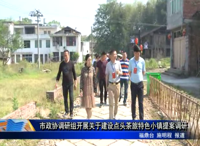 市政協(xié)調(diào)研組開展關(guān)于建設(shè)點(diǎn)頭茶旅特色小鎮(zhèn)提案調(diào)研