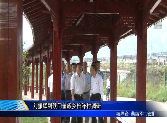 劉振輝到硤門畬族鄉(xiāng)柏洋村調(diào)研