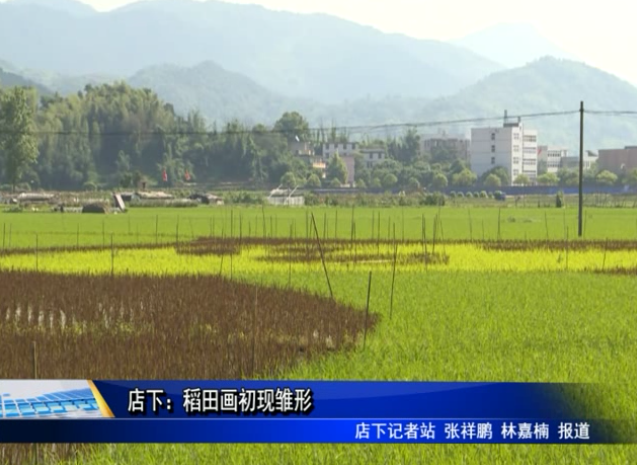 店下：稻田畫初現雛形