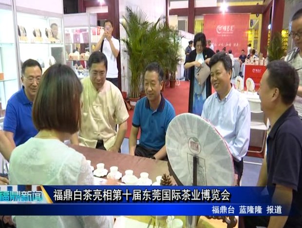 福鼎白茶亮相第十屆東莞國際茶業博覽會