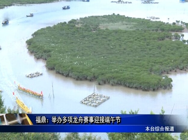 福鼎：舉辦多項龍舟賽事迎接端午節