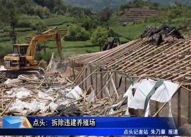 點頭: 拆除違建養殖場