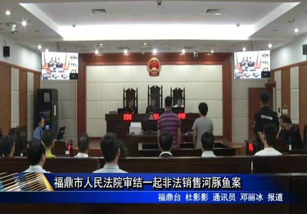 福鼎市人民法院審結(jié)一起非法銷售河豚魚(yú)案