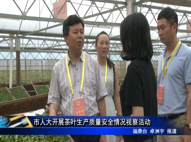 市人大開展茶葉生產質量安全情況視察活動