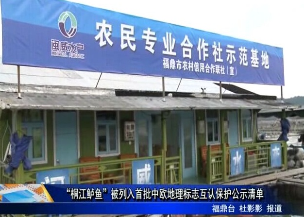 “桐江鱸魚(yú)”被列入首批中歐地理標(biāo)志互認(rèn)保護(hù)公示清單