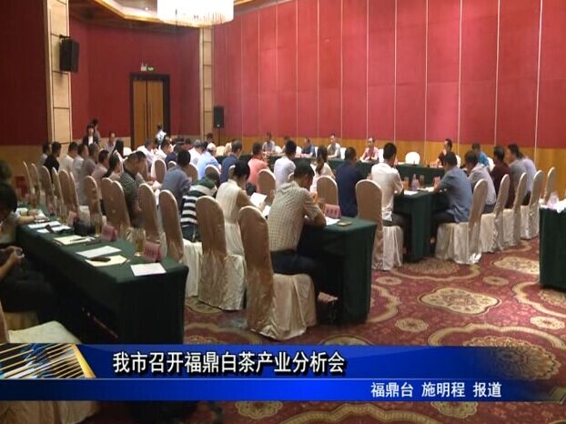 我市召開福鼎白茶產業分析會