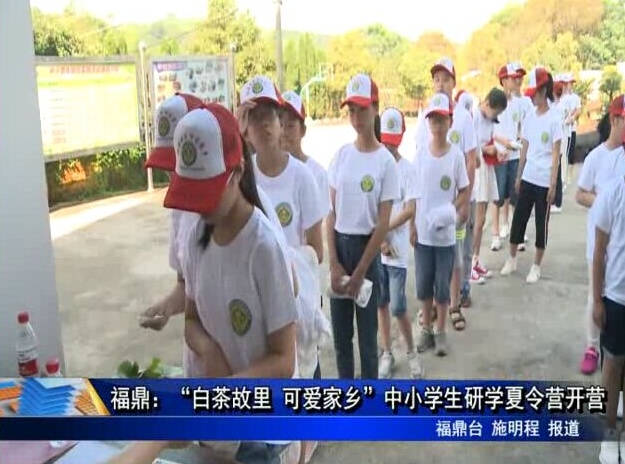 福鼎：“白茶故里 可愛家鄉”中小學生研學夏令營開營