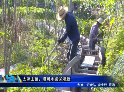 太姥山鎮：修筑水渠保灌溉