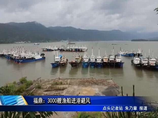 福鼎：3000艘漁船進(jìn)港避風(fēng)
