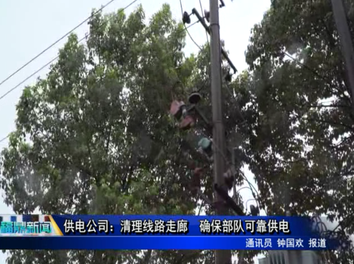 供電公司：清理線路走廊 確保部隊(duì)可靠供電