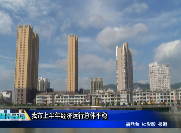 我市上半年經濟運行總體平穩