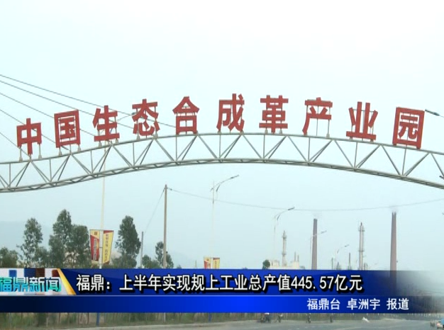 福鼎：上半年實現規上工業總產值445.57億元
