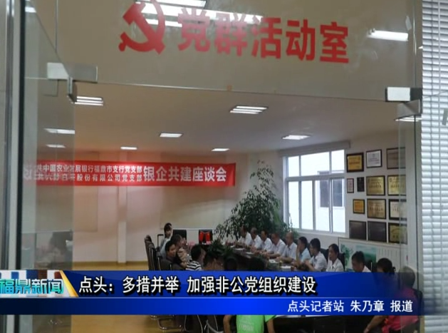 點頭：多措并舉 加強非公黨組織建設