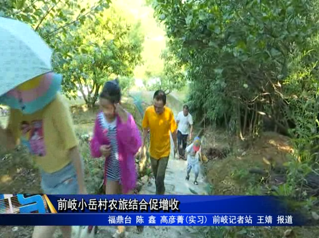 前岐小岳村農旅結合促增收