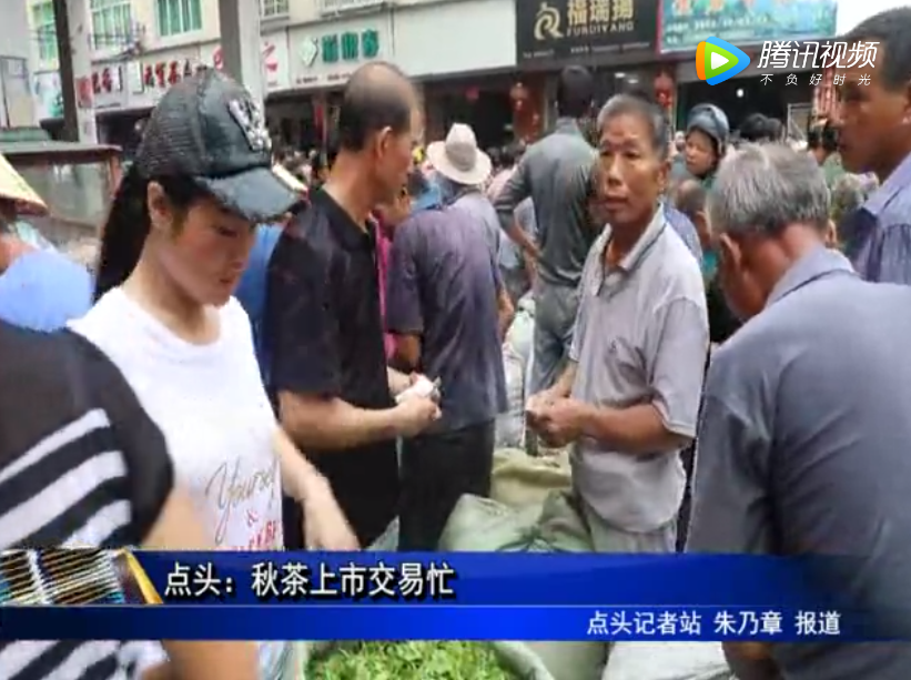 點頭：秋茶上市交易忙
