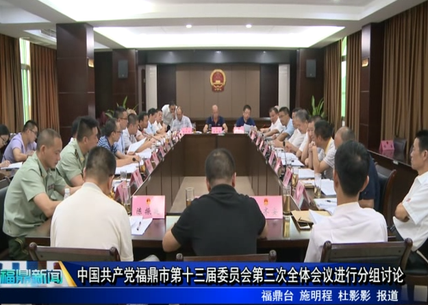 中國共產黨福鼎市第十三屆委員會第三次全體會議進行分組討論