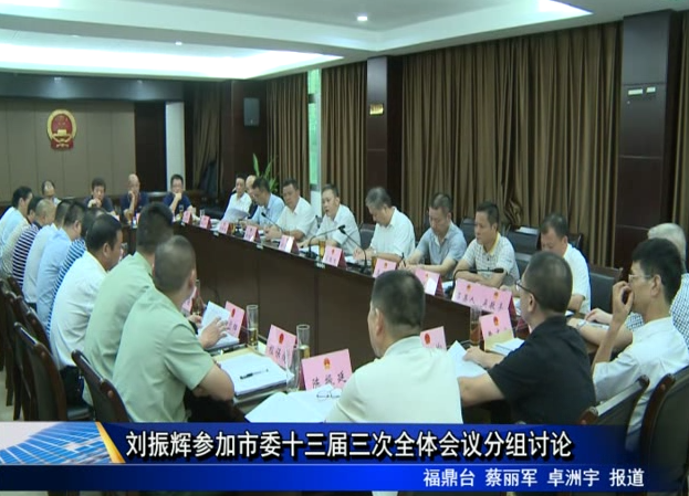 劉振輝參加市委十三屆三次全體會議分組討論