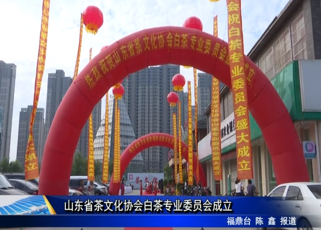 山東省茶文化協會白茶專業委員會成立