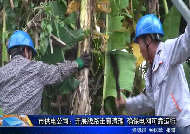 市供電公司：開展線路走廊清理 確保電網可靠運行