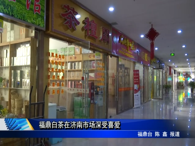 福鼎白茶在濟南市場深受喜愛