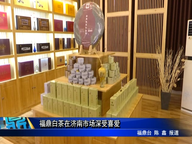 福鼎白茶在濟南市場深受喜愛