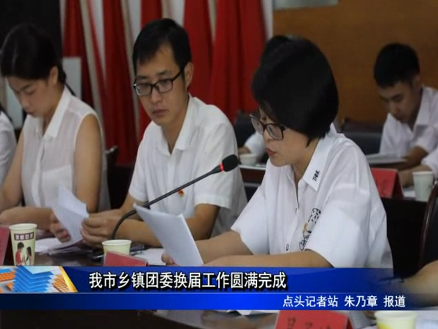 我市鄉鎮團委換屆工作圓滿完成