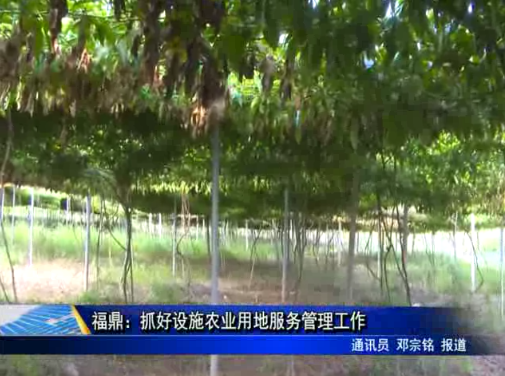 福鼎：抓好設施農業用地服務管理工作