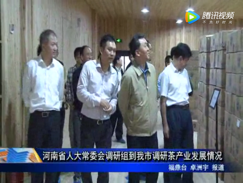 河南省人大常委會調研組到我市調研茶產業發展情況