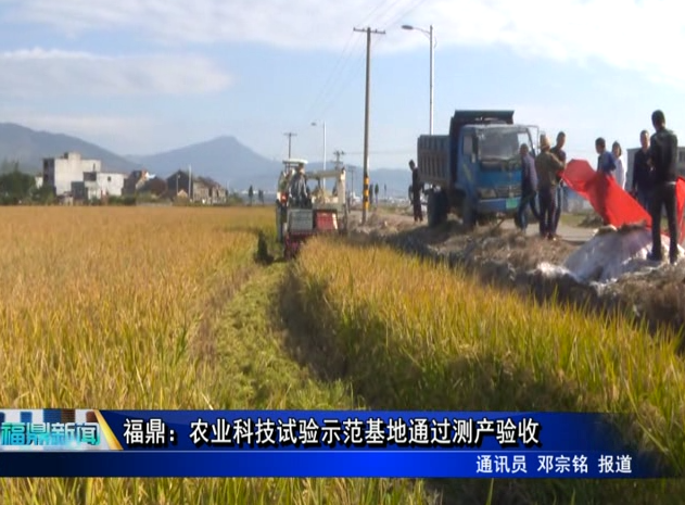福鼎：農業科技試驗示范基地通過測產驗收