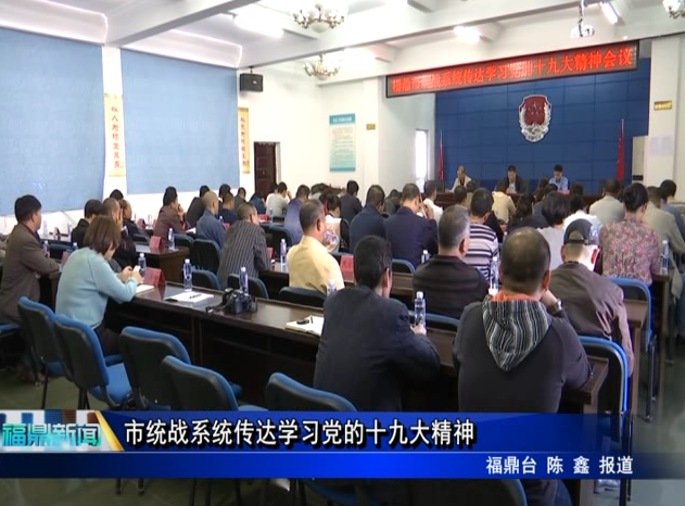 市統戰系統傳達學習黨的十九大精神