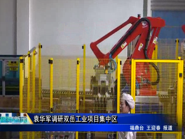 袁華軍調研雙岳工業項目集中區