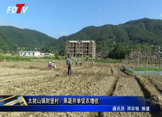 太姥山鎮財堡村：果蔬并舉促農增收
