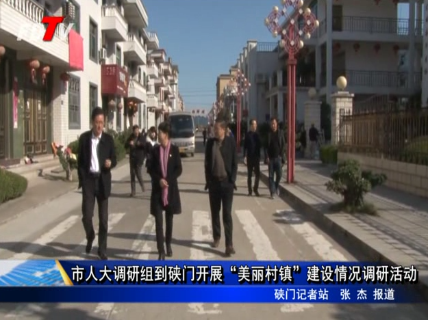 市人大調(diào)研組到硤門開(kāi)展“美麗村鎮(zhèn)”建設(shè)情況調(diào)研活動(dòng)