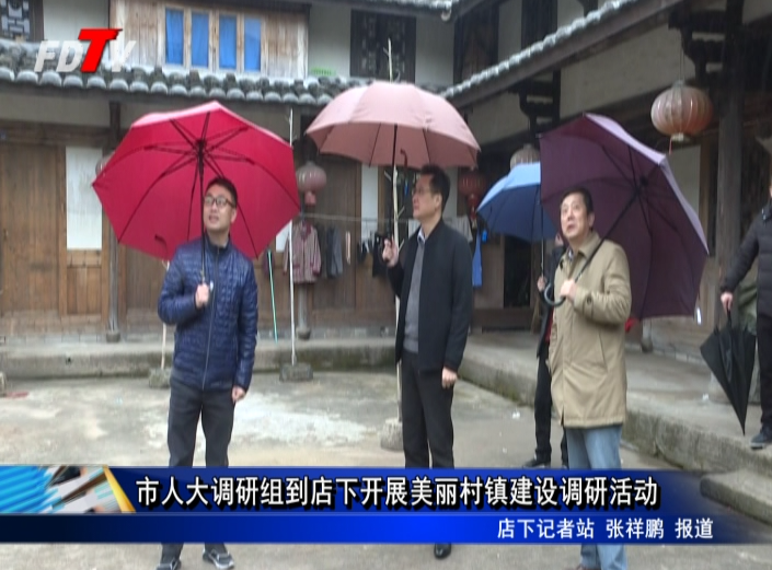 市人大調(diào)研組到店下開(kāi)展美麗村鎮(zhèn)建設(shè)調(diào)研活動(dòng)