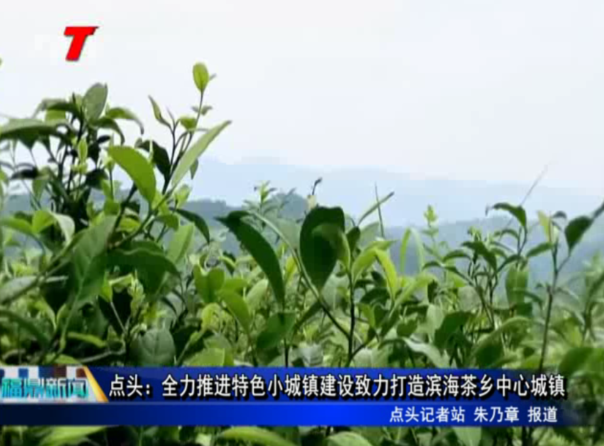 點頭：全力推進特色小城鎮(zhèn)建設致力打造濱海茶鄉(xiāng)中心城鎮(zhèn)