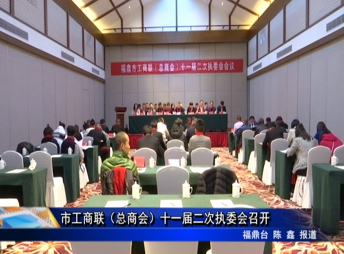 市工商聯（總商會）十一屆二次執委會召開