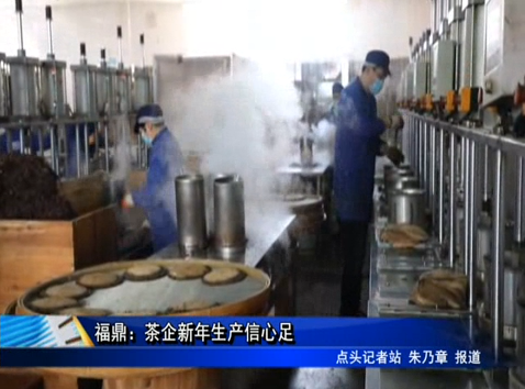 福鼎：茶企新年生產信心足