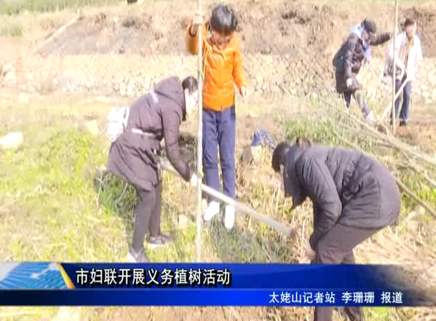 市婦聯開展義務植樹活動