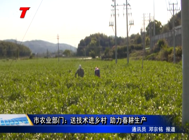 市農業部門：送技術進鄉村 助力春耕生產