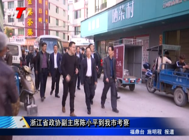 浙江省政協副主席陳小平到我市考察