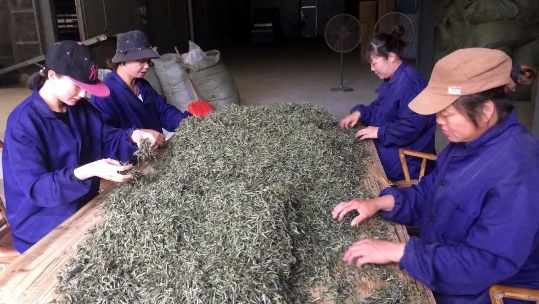 你溫柔了時光，我為你留住歲月，“幸福工程”助力貧困計生戶