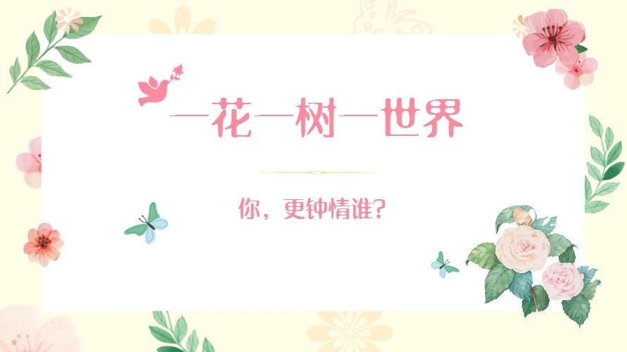 福鼎將票選“市樹、市花”啦！一花一樹一世界，你更鐘情誰？