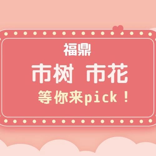 福鼎“市樹、市花”投票開始啦！快來pick你心中的NO.1吧！