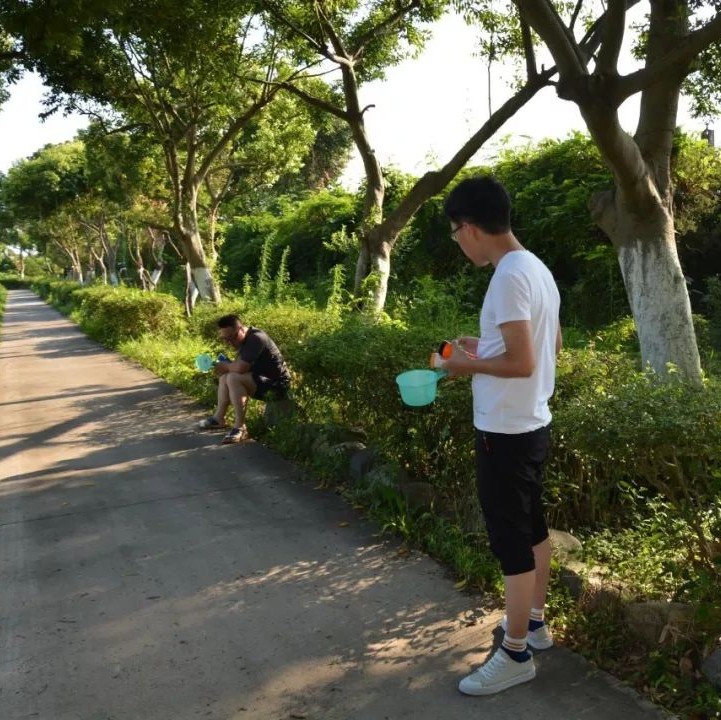 滅蚊防病很重要！打好蚊蟲“殲滅戰”，為省運會保駕護航