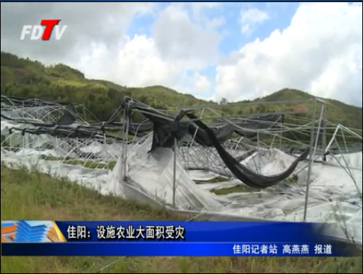  佳陽：設施農業大面積受災